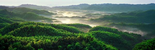 宜宾天气预报30天查询,宜宾市一个月天气