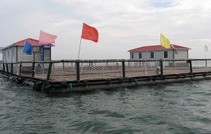 长岛顺祥海上钓鱼台天气