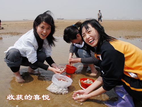 日照刘家湾赶海园