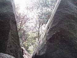 高州高凉岭天气