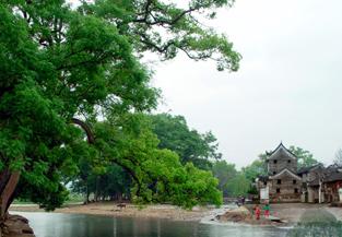 贺州秀水状元村